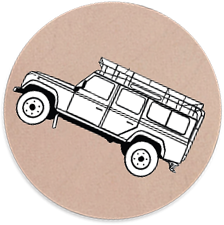 pizzarova landy